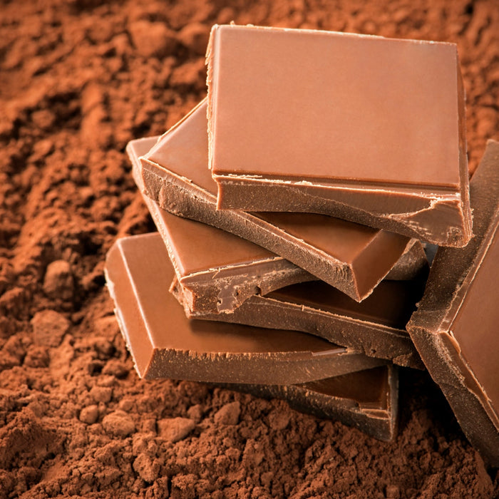 5 Irresistible Ways to Enjoy Gianduja Chocolate – Indulge in Pure Luxury!