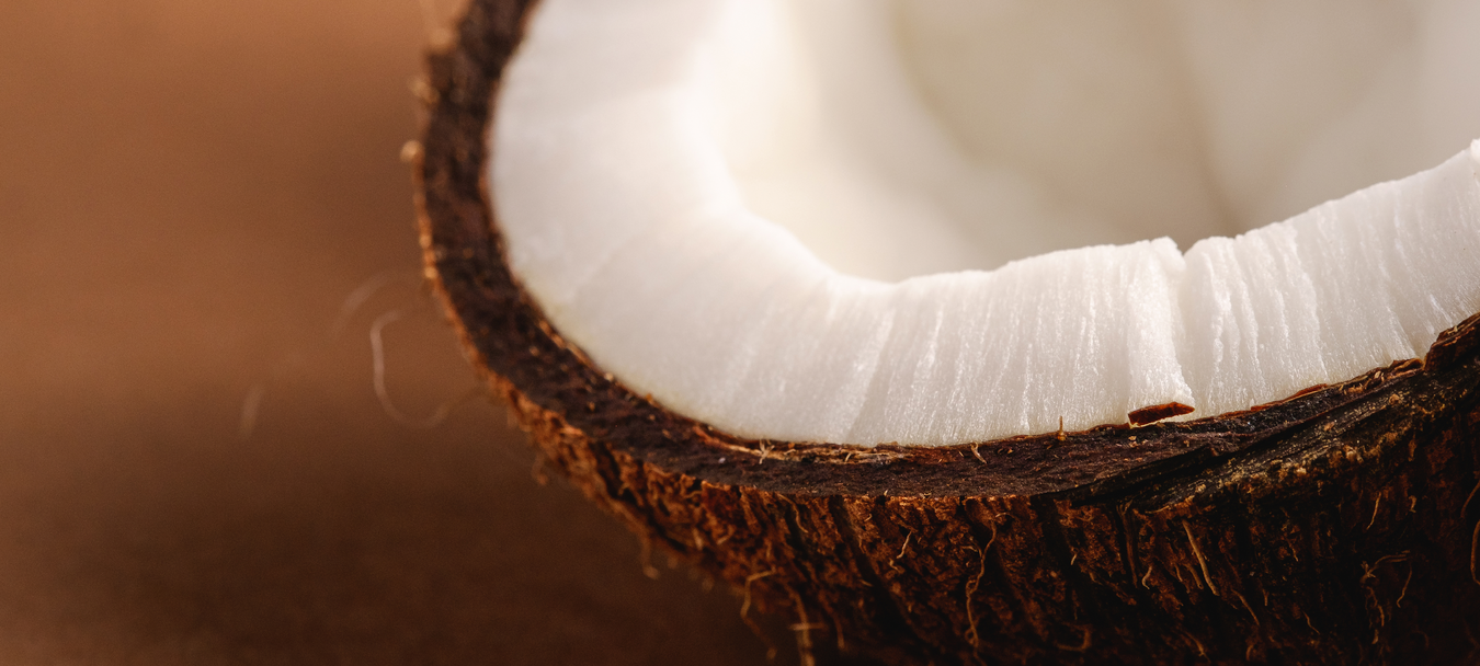 Coconut Chocolate