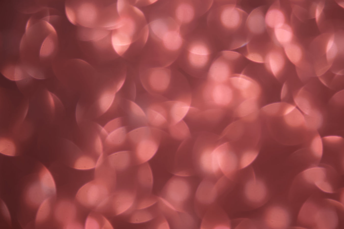 Anniversary Chocolate