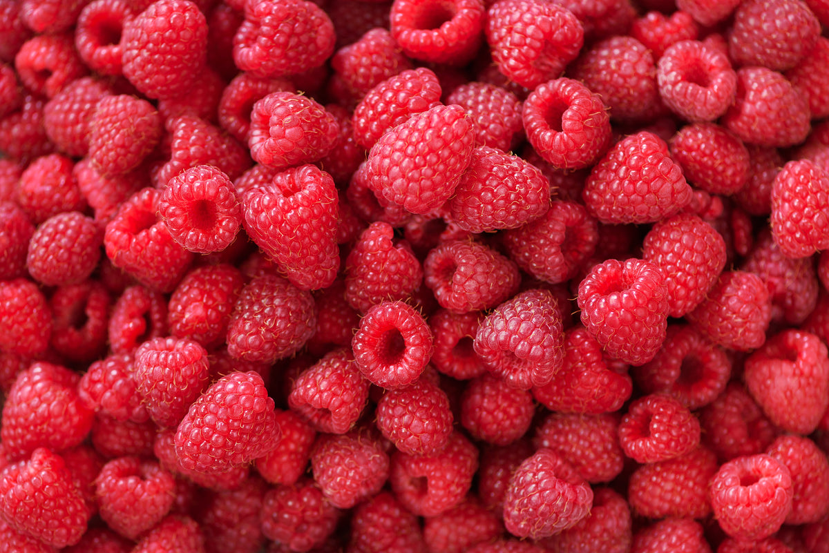 Raspberry Chocolate | The Chocolate Box — Chocolate Box