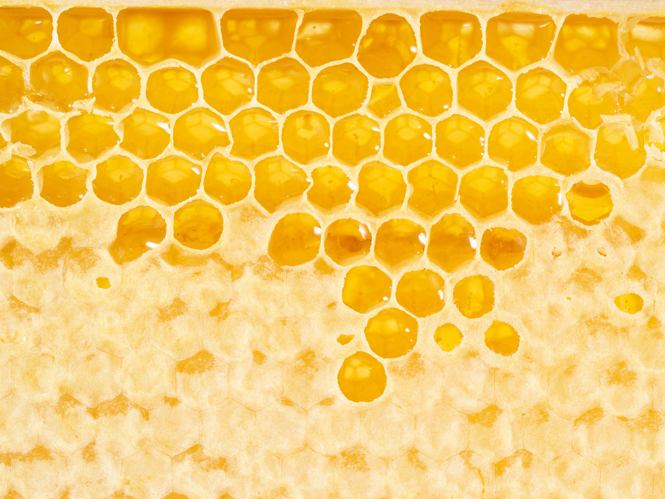 Honeycomb Chocolate