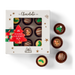 Festive Gourmet Christmas Gift Box 110g (9pce)