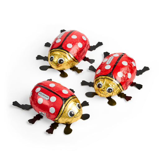 Ladybird in Cube 100g