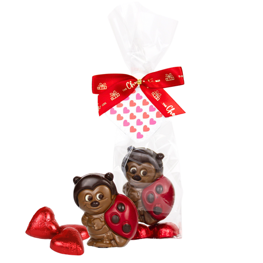 Mini Ladybird with Hearts 45g