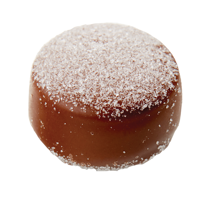 Gourmet Jam Donut Milk Chocolate 10.8g