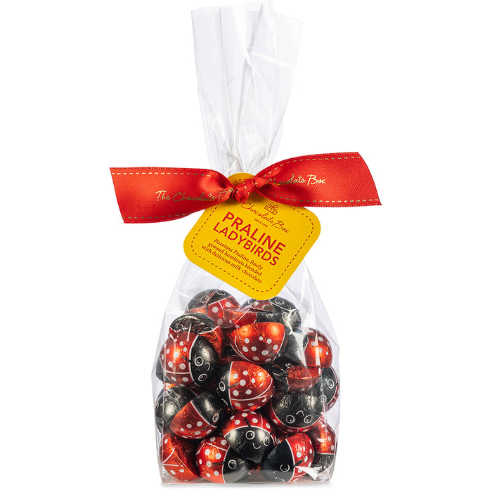 Hazelnut Praline Ladybugs 180g