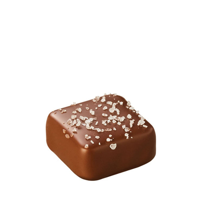 Gourmet Chocolate Salted Caramel Piece 11.8g